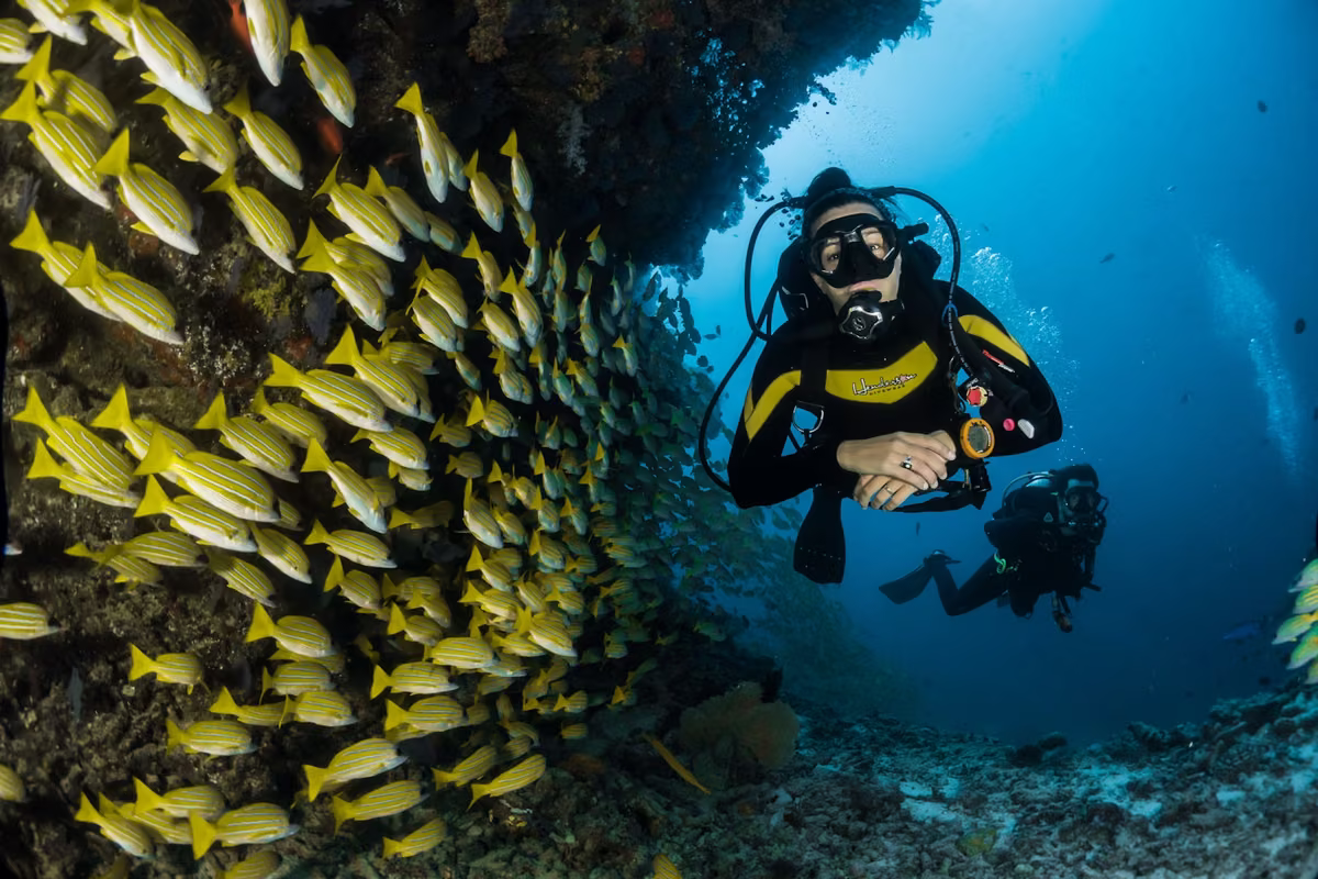 Snorkeling dan petualangan bawah laut Gili Air